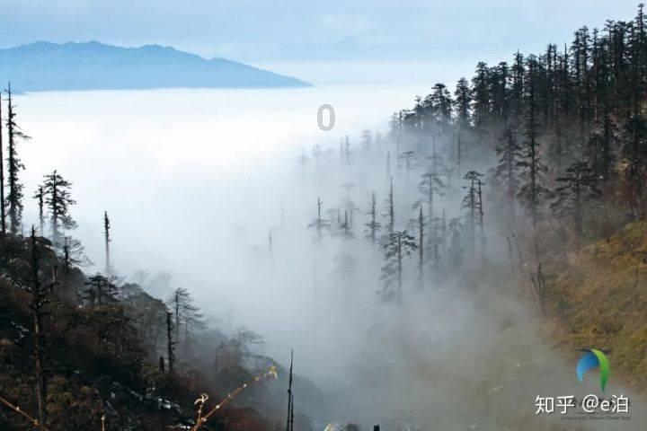 戳泡泡练口算